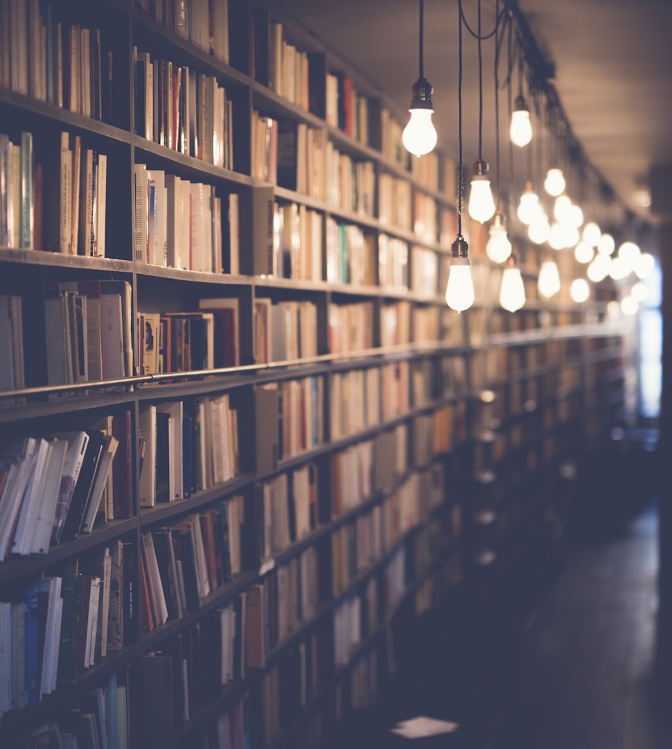 Livros infantis coloridos e ilustrados